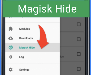 Magisk Hide