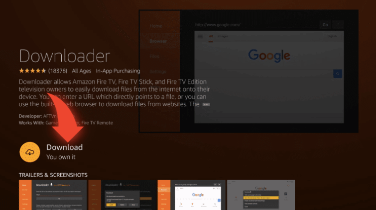 Download Downloader app on Firestick