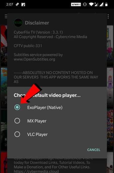 video player for cyberflix