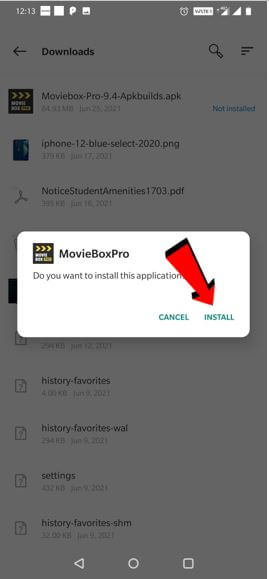 install moviebox pro screenshot